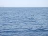 DSCN1839.jpg