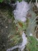 DSCN1943.jpg